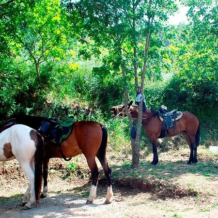 Casale Margherita Turismo Rurale Pollina