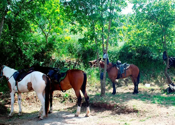Casale Margherita Turismo Rurale Pollina